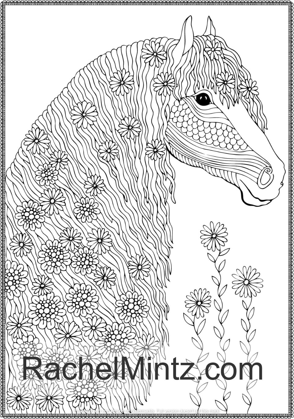 Wild Beauty -Horse Head Study - Original Acrylic Painting